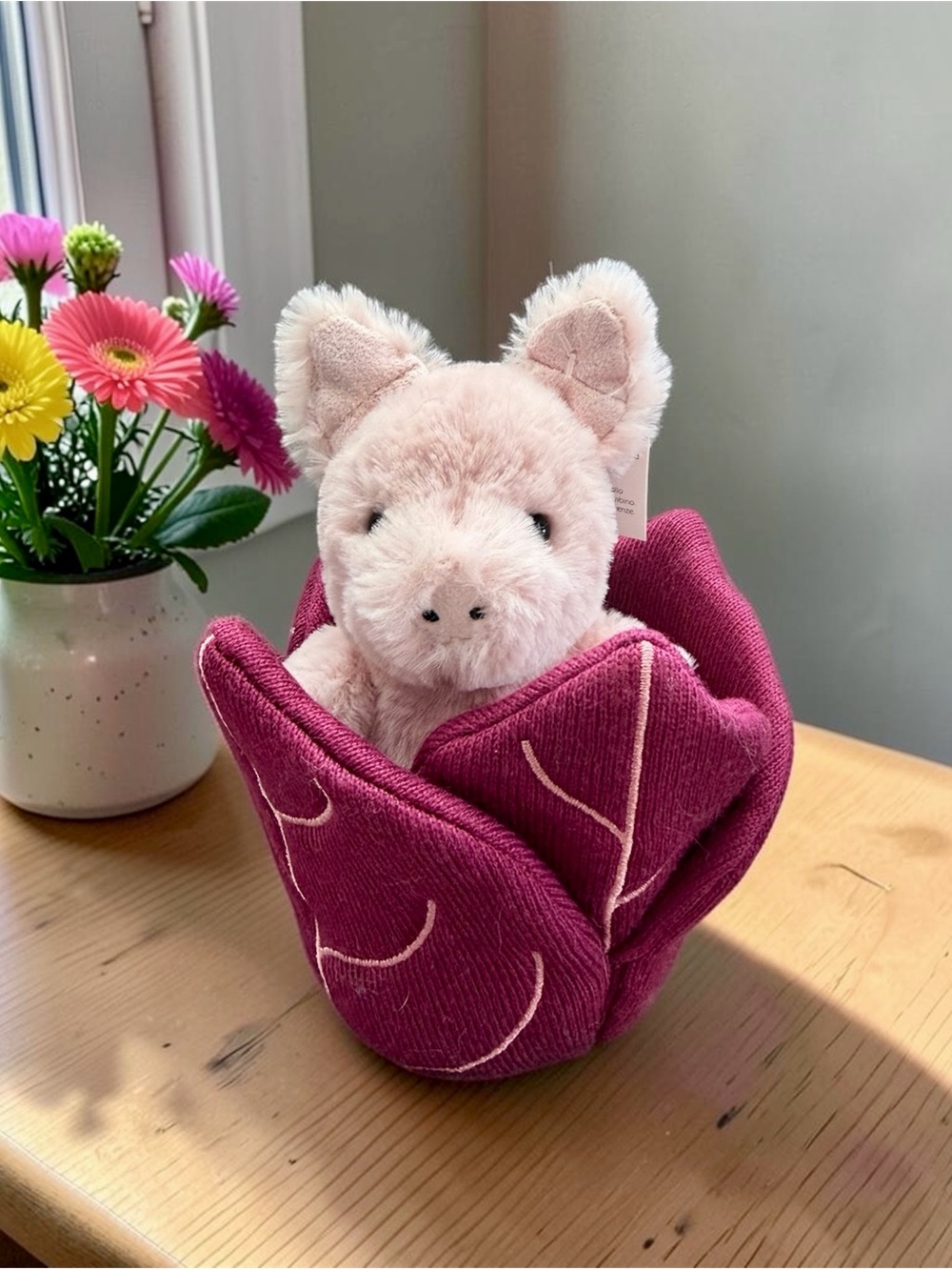 🐽🌹𝐀𝐮𝐭𝐡𝐞𝐧𝐭𝐢𝐜 𝐉𝐞𝐥𝐥𝐲𝐜𝐚𝐭 𝐏𝐨𝐩𝐩𝐢𝐧 𝐏𝐢𝐠🌹🐽